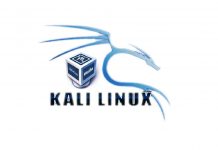 VirtualBox ile Kali Linux Kurulumu