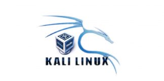 VirtualBox ile Kali Linux Kurulumu