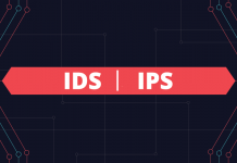 IDS ve IPS Nedir, Nasıl Çalışır?