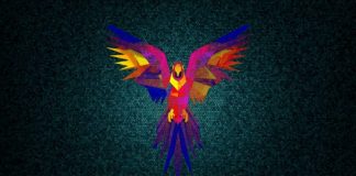 Parrot İşletim Sistemi Nedir?