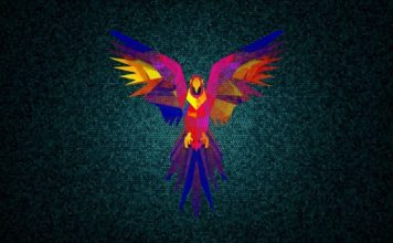 Parrot İşletim Sistemi Nedir?