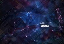 Kali linux nedir ve neden kullanılır?
