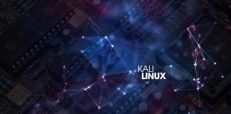 Kali linux nedir ve neden kullanılır?