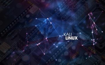 Kali linux nedir ve neden kullanılır?