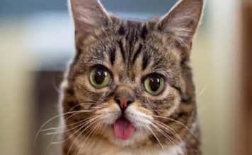 Android Telefonunuz Sadece Bu Videoyu Oynatarak Hacklenebilir