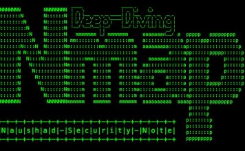 Nmap Nedir? Nasıl Kullanılır?