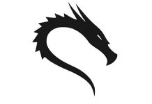 Usb’ye kalıcı olarak kali linux kurulumu