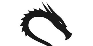 Usb’ye kalıcı olarak kali linux kurulumu