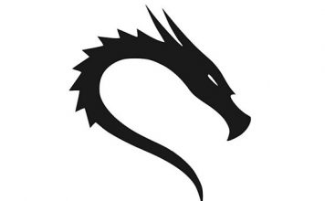 Usb’ye kalıcı olarak kali linux kurulumu