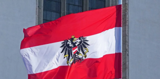 Avusturya Dışişleri Bakanlığına Siber Saldırı